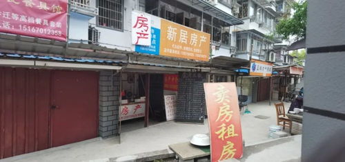 浙江绍兴房产中介乱象何时休 透视房地产中介服务的痛点与解决路径
